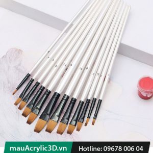 Cọ vẽ tranh sơn màu Acrylic 3D cao cấp 12 chổi