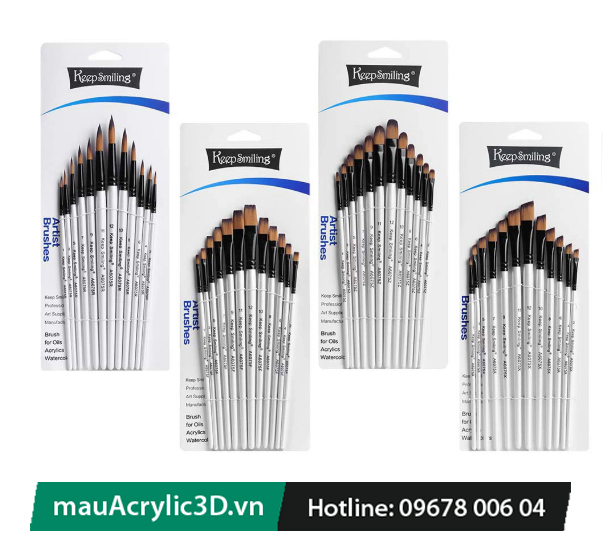 Dụng cụ vẽ màu Acrylic 3D bộ 12 cọ đa phong cách