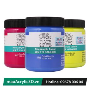 Màu Acrylic Winsor Newton 300ml 5D Sơn Ngoài Trời